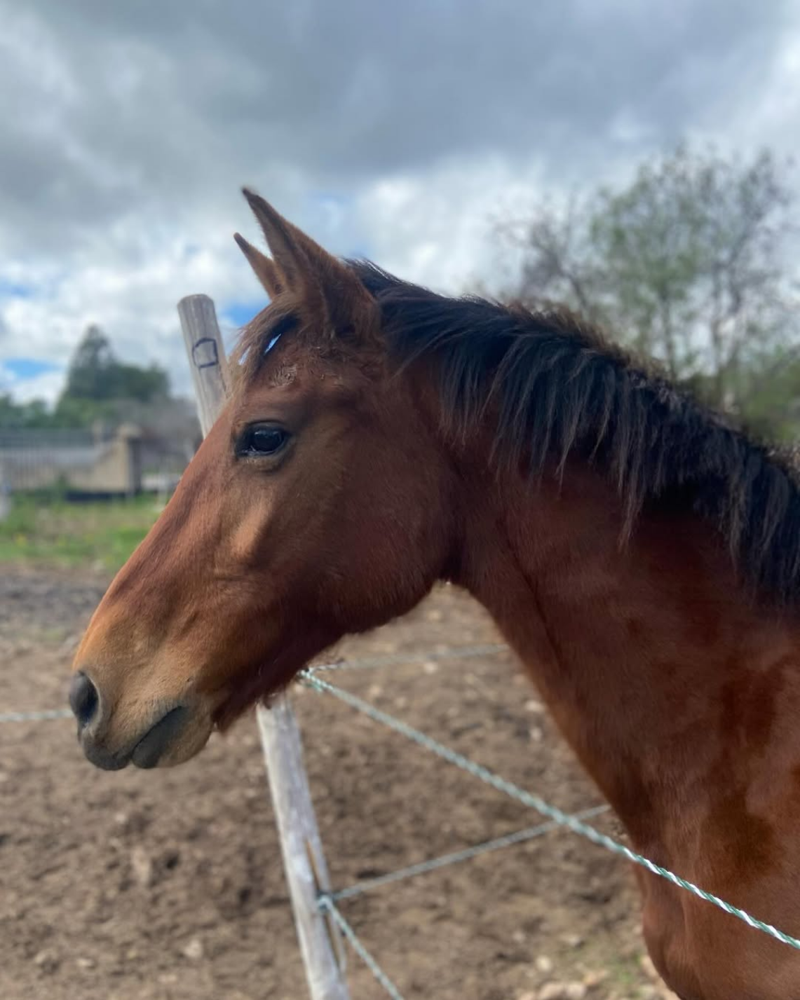 Instalaciones EquusDream